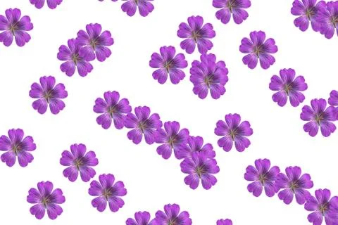 Pink flower pattern Stock Photos