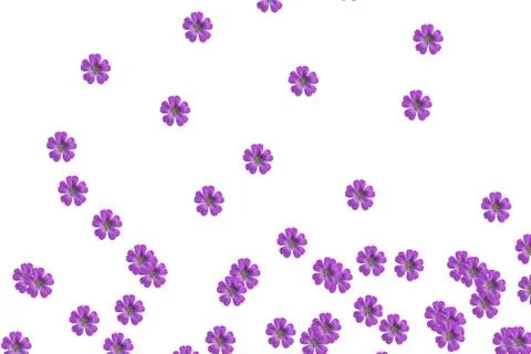 Pink flower pattern Stock Photos