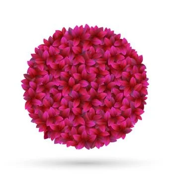 Pink flower petals circle frame isolated on white Stock-Illustration