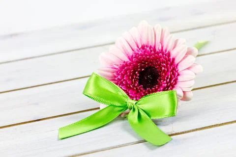 Pink flower Stock Photos