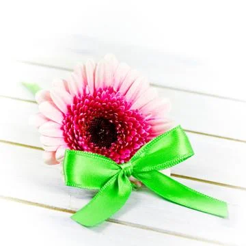 Pink flower Foto stock
