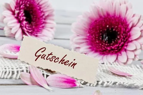 Pink flower present Stock Photos