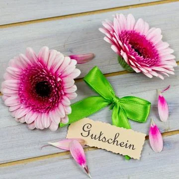 Pink flower present Foto stock