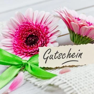Pink flower present Stock Photos