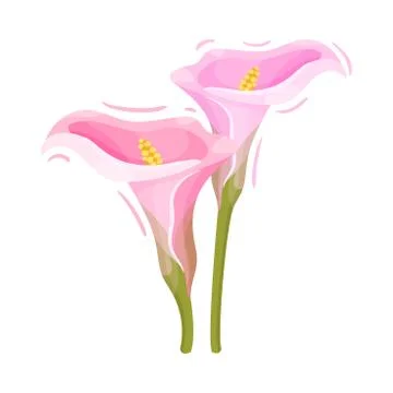 Pink Flower on Stem Decorative Vector Element Isolated on White Background Stock Illustration