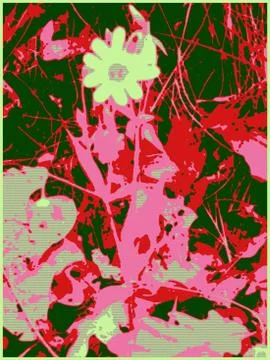 Pink flower  V Stock Illustration