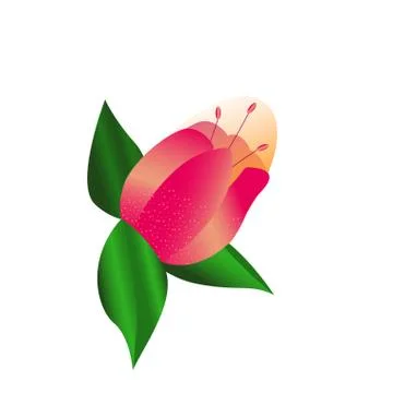 Pink Flower vector logo design. Element for beauty and spa, logotype, sign, w Illustrazione stock