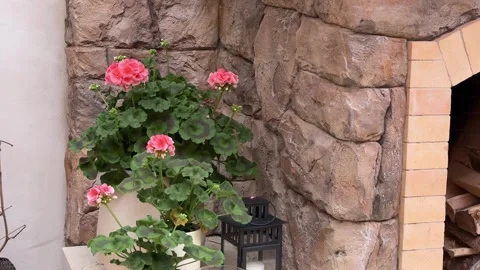 Pink Flowers and Rustic Fireplace in Luxury Summer Gazebo Stock-Footage 334885172