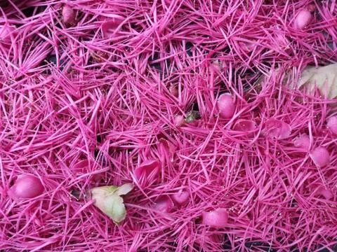 Pink flowers background Foto stock