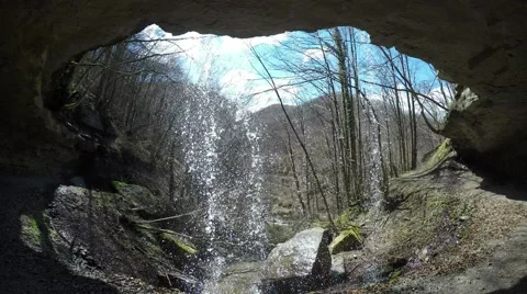 Pink Flowers Video stock 58954868