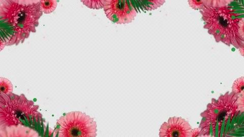 Pink Flowers Frame Stock-Footage 171530692