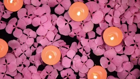 Pink flowers of Hydrangea with burning candles on the water surface. 4K Vídeos de archivo 77204537