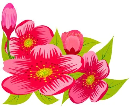 Pink flowers. Stock Illustration