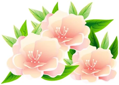 Pink flowers. Stock Illustration