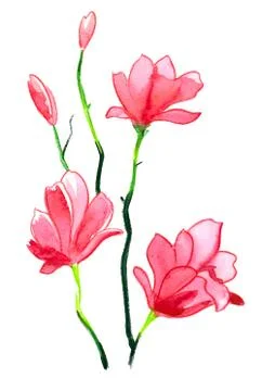 Pink flowers Stock Illustration