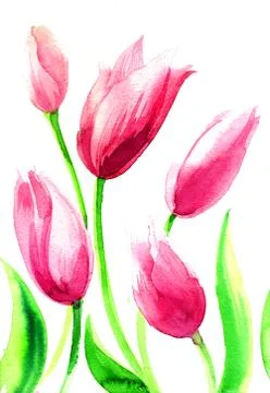Pink flowers Stock Illustration