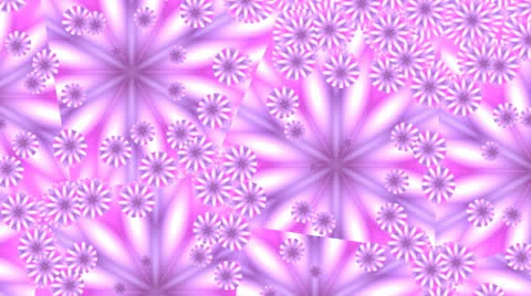Pink flowers in mirror splinters Stock Footage 24925209