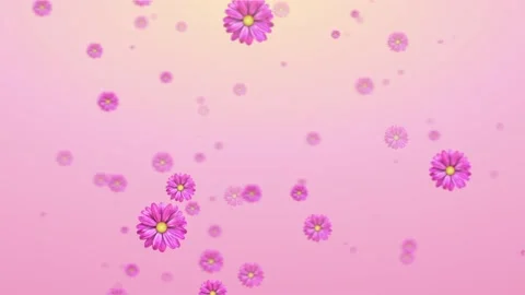 Pink flowers motion  background Stock Footage 149981775