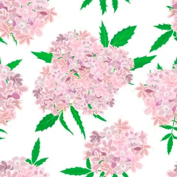 Pink Flowers pattern on white background Stock Illustration