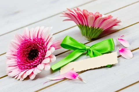 Pink flowers Stock Photos