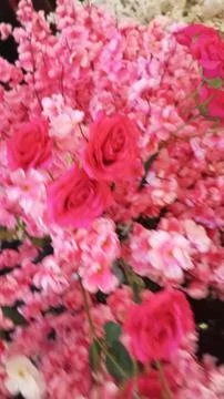 Pink flowers Stock Photos