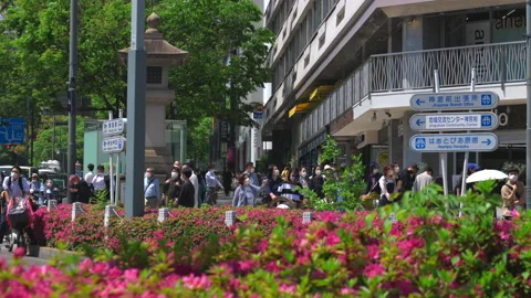 Pink flowers surround Road intersection at Omotesando in Shibuya, Tokyo, 2022 Video stock 200846695