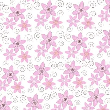 Pink flowers on white background . Stock Illustration