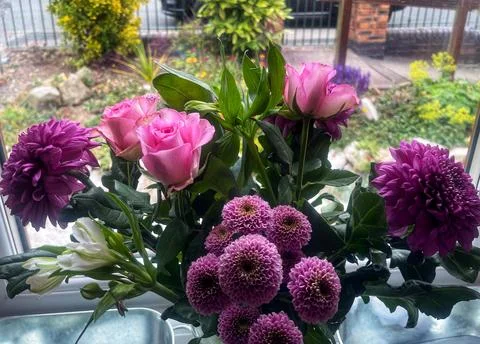 Pink flowers on window Stock Photos