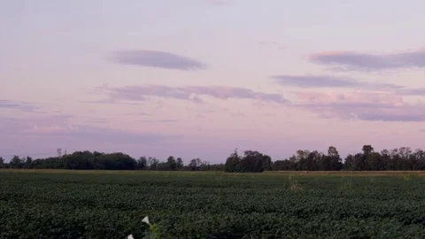 Pink Of Fluffy Clouds Over Sunset Sky. Beautiful Cloudscape Stock Footage 116484928