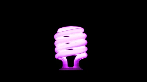 Pink fluorescent light bulb Stock Footage