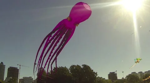 Pink Flying Octopus Kite (A) Stock Footage 41973796