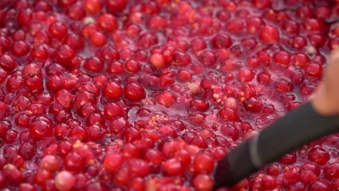 Pink foam for red currant jam. red currant are boiled in a pot with sugar. Stock Footage 279111701
