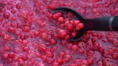 Pink foam for red currant jam. red currant are boiled in a pot with sugar. Vidéo 279111707