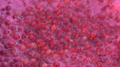 Pink foam for red currant jam. red currant are boiled in a pot with sugar. Vidéo 279111773