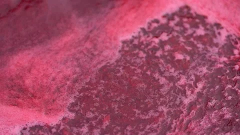 Pink foam for red currant jam. red currant are boiled in a pot with sugar. Vidéo 279112163