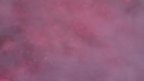 Pink foam for red currant jam. red currant are boiled in a pot with sugar. Vidéo 279112212