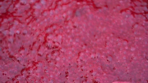 Pink foam for red currant jam. red currant are boiled in a pot with sugar. Vidéo 279112284