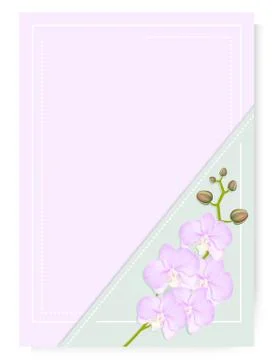 Pink frame with corner orchid pattern and place for text Stock Illustration