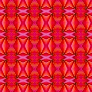 Pink frangipani seamless pattern background Stock Illustration