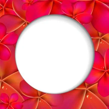 Pink frangipani shere Stock Illustration
