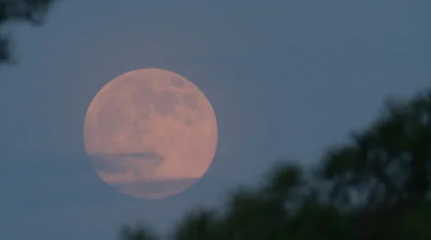 Pink Full Moon in summer Stock Footage 33732345