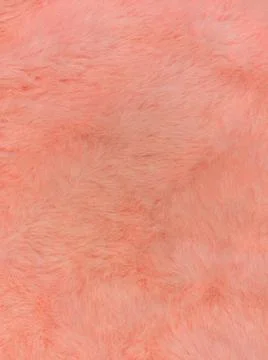 Pink fur texture top view. Coral fluffy fabric coat background.Winter fashion Stock Photos
