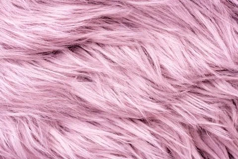 Pink fur texture top view. Pink sheepskin background. Fur pattern. Texture .. Stock Photos