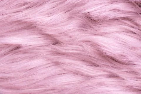 Pink fur texture top view. Pink sheepskin background. Fur pattern. Texture .. Stock Photos