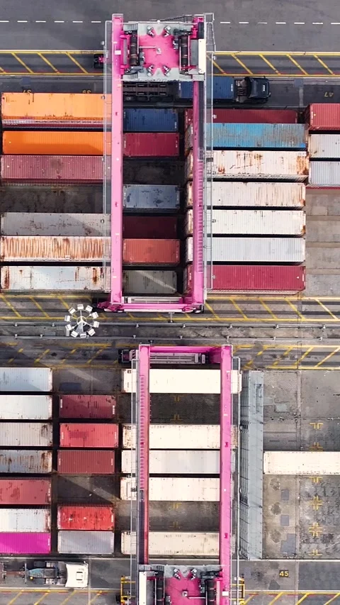 Pink gantry crane moving cargo containers in industrial port Stock Footage 340581756