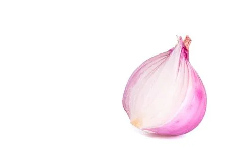 Pink garlic bulb on white background Stock Illustration