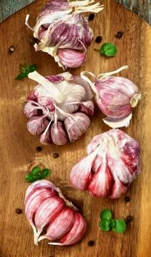 Pink Garlic Stock Photos