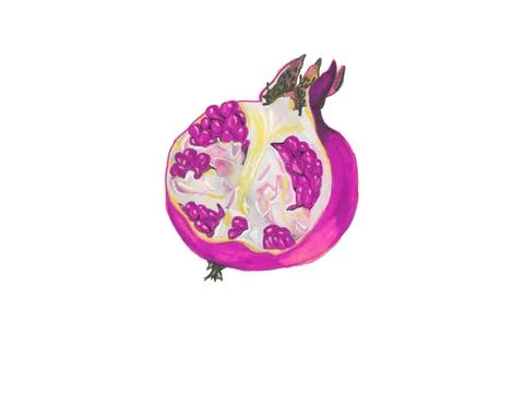 Pink garnet cut on a white background Stock Illustration