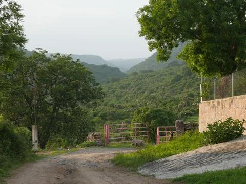 Pink Gate Stock Photos