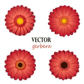 Pink gerbera collection Stock Illustration